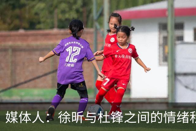 媒体人：徐昕与杜锋之间的情绪积聚已久，前者重返广东队的可能性渺茫